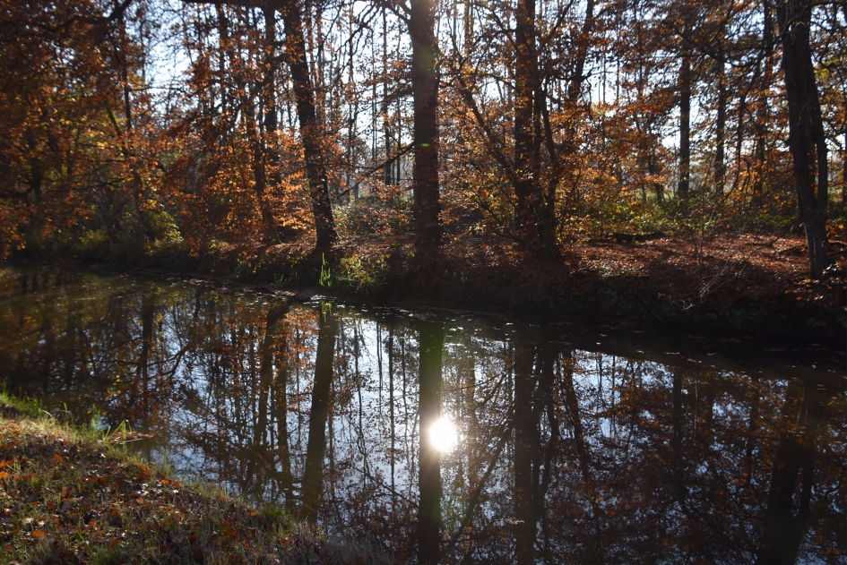 Langbroekerwetering - Weer en landschap - 