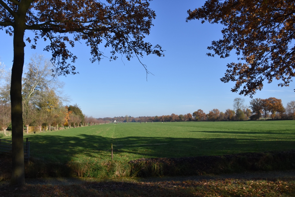 Langs de .. - Weer en landschap - 