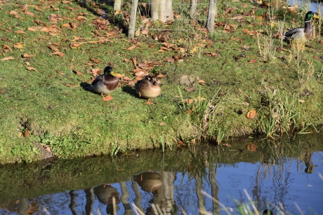 Lekker in de zon....