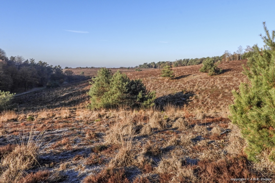 Mokerheide - Weer en landschap - 
