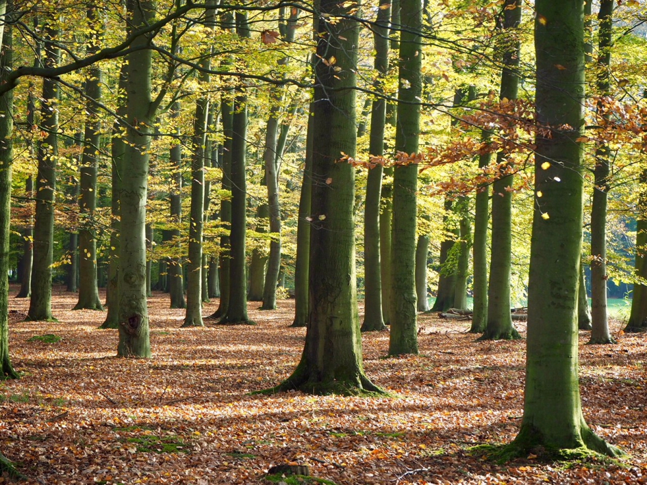 Nog even - Weer en landschap - 