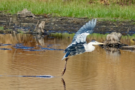 Reflectie met lange tenen