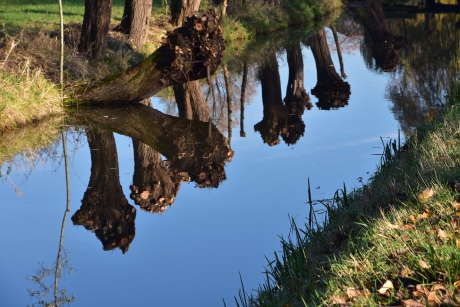 Spiegeling in het water