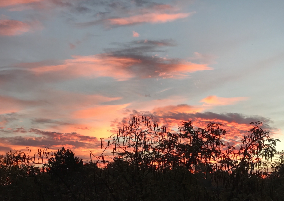 Vanmorgen half acht - Weer en landschap - 