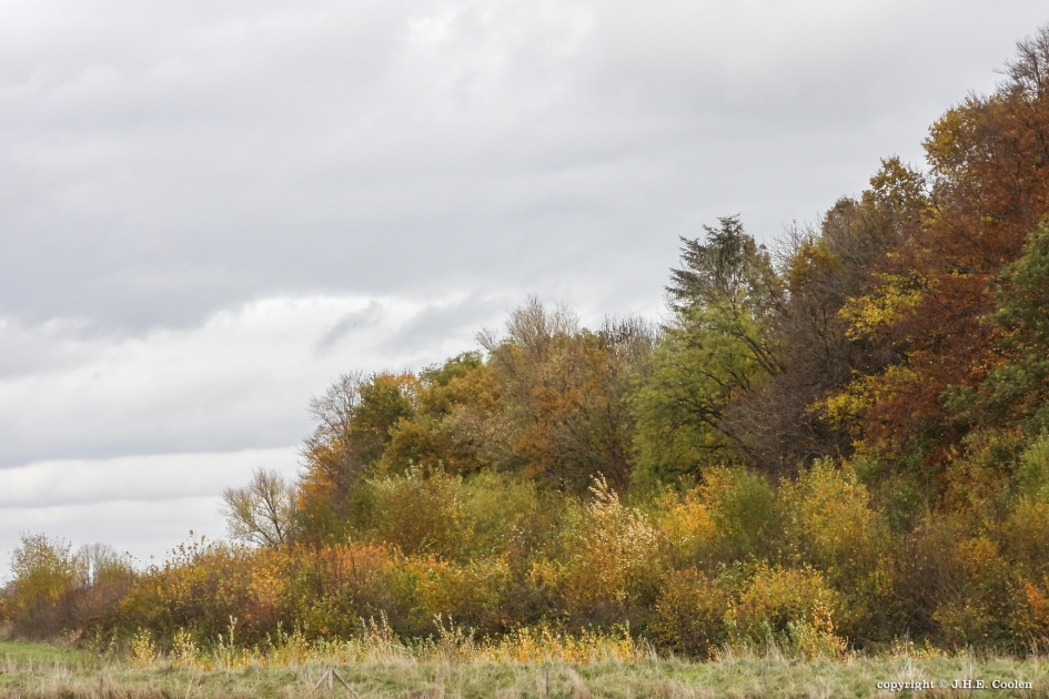 Zo voorbij... - Weer en landschap - 