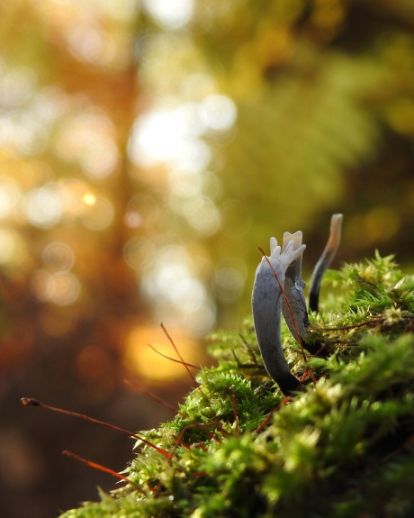 Zon kleurt alles mooier