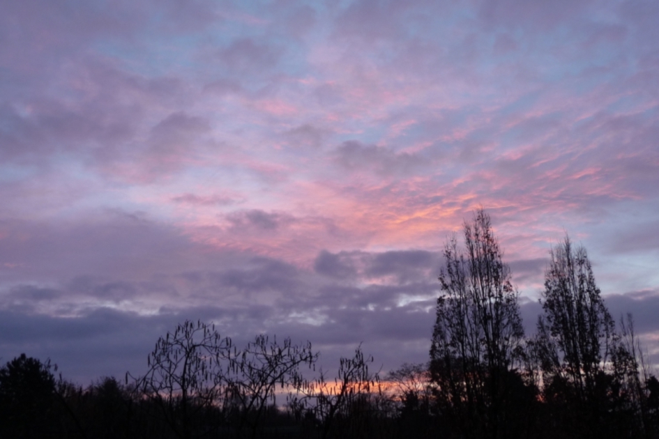 7:30 uur - Weer en landschap - 