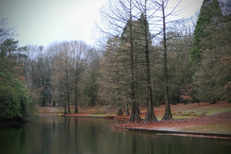 De donkere dagen voor....