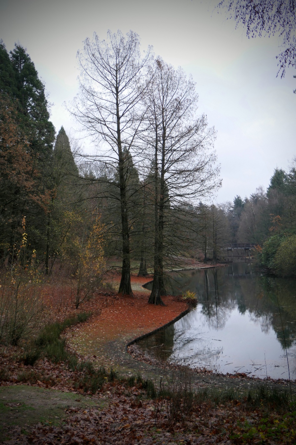 Herfst met een kleurtje. - Weer en landschap - Landschap
