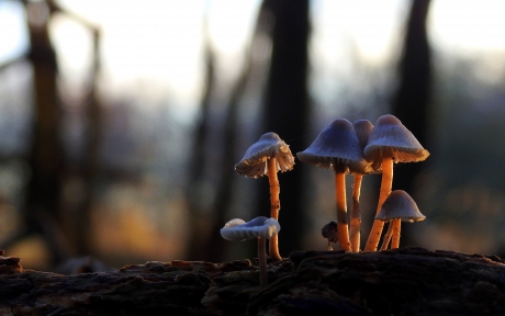 In het laatste zonnestraaltje