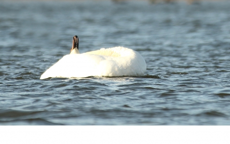 strak blauwe lucht vandaag