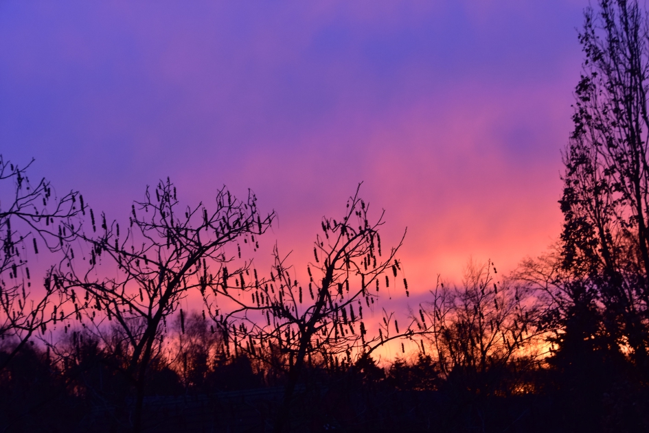 8:30 uur - Weer en landschap - 