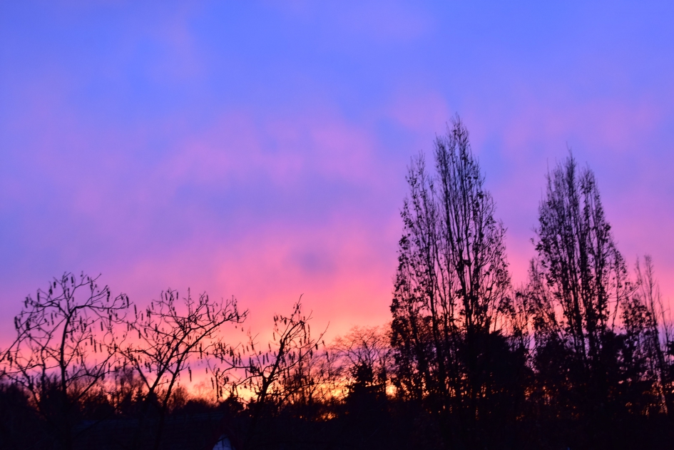 8:35 uur - Weer en landschap - 