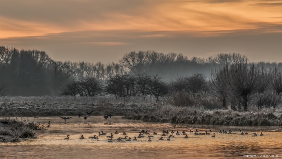 ! Koud water.... - Weer en landschap - 