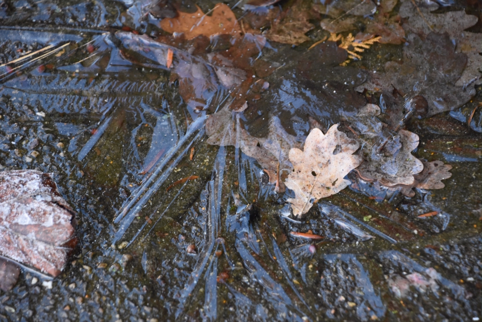 Bevroren plas water - Weer en landschap - 