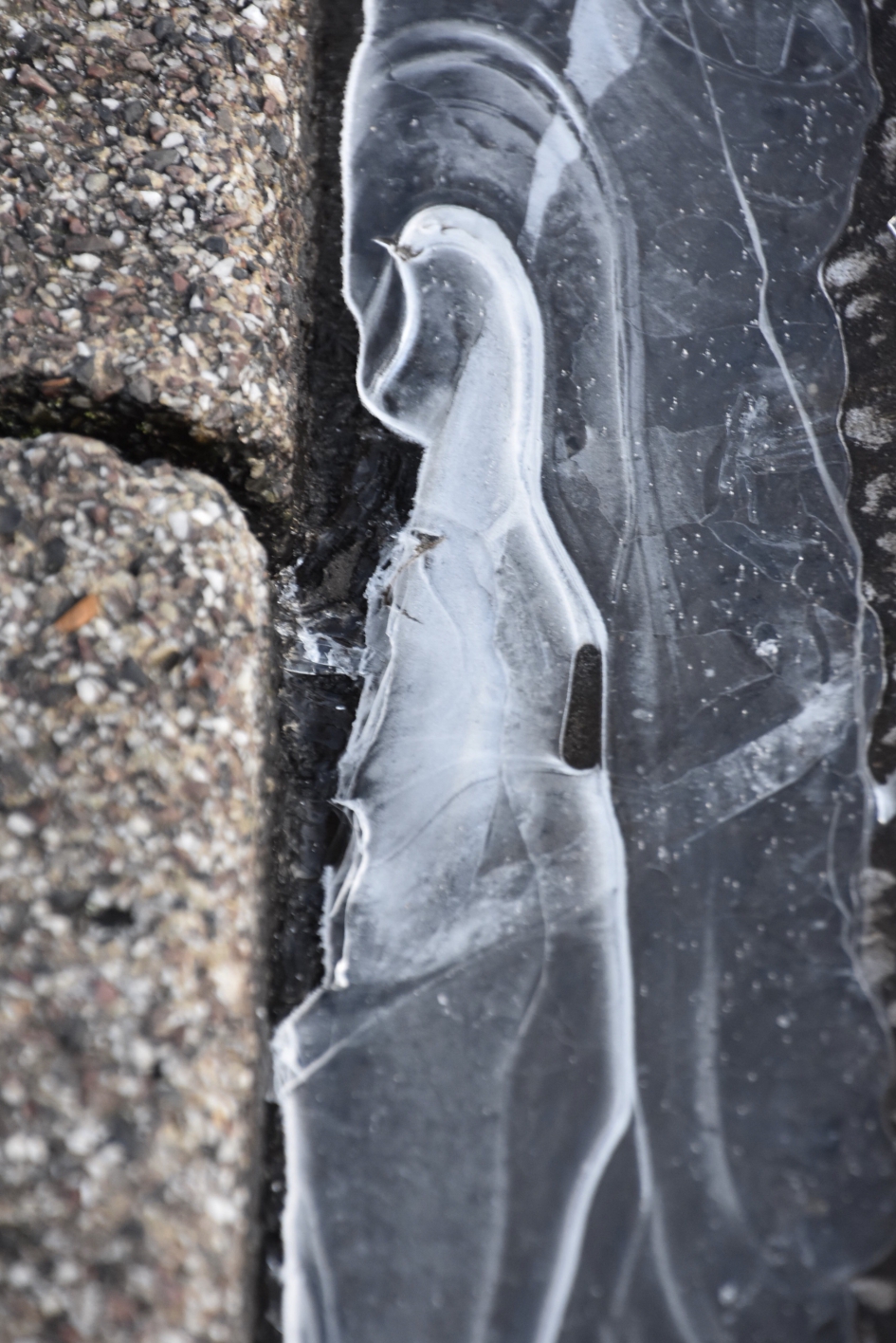 Bevroren water langs de stoeprand - Weer en landschap - 