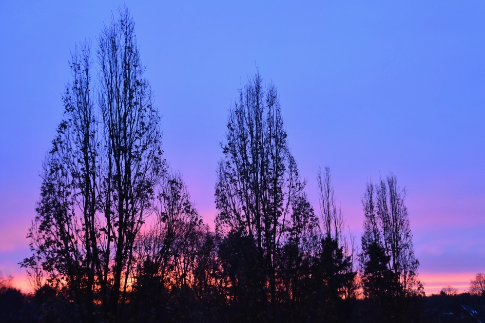 Half negen vanmorgen - Weer en landschap - 