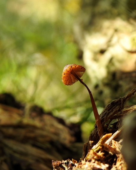 Hallo, ik ben er nog......