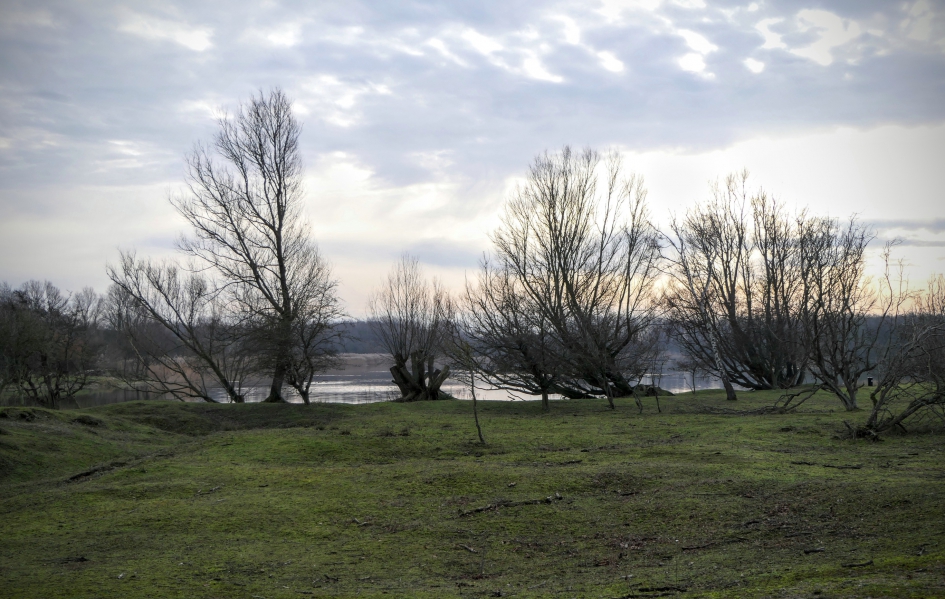 Kaal maar prachtig - Weer en landschap - Landschap