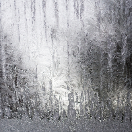 Kunst op het raam (2)