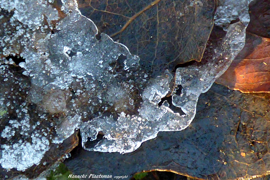 Met ijsrandje - Weer en landschap - 