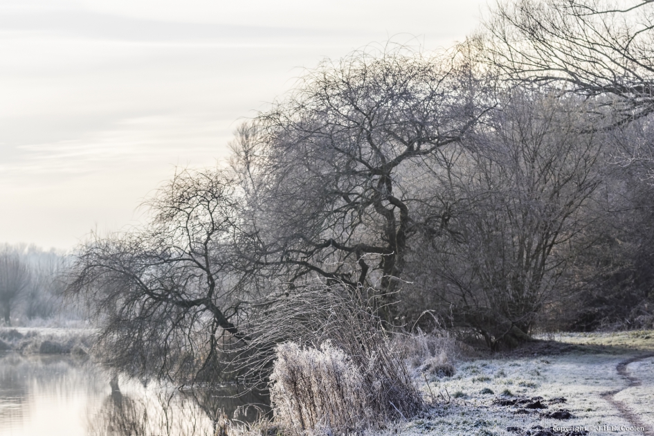 Koud hé.... - Weer en landschap - 