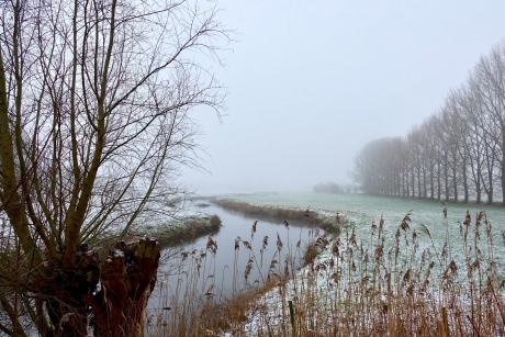 Ochtendwandeling langs De Dommel