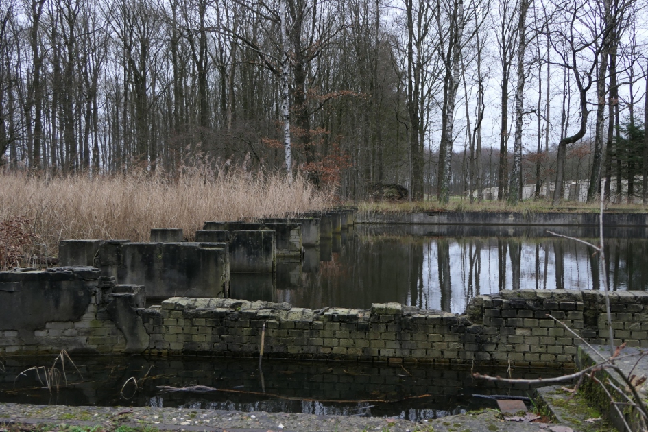 Waterloopbos - Weer en landschap - Waterloopbos