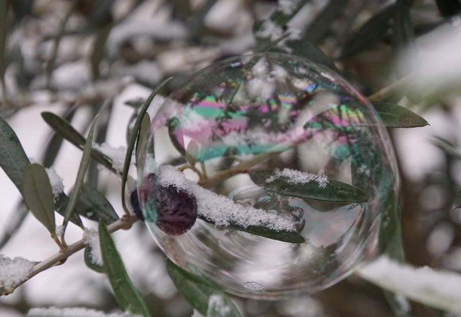Bellenblazen tussen de olijven - Weer en landschap - 