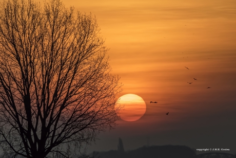 Daar verdwijnt de duisternis.
