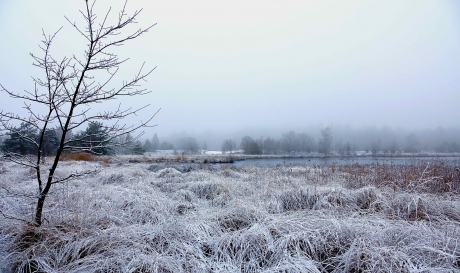 Frisse ochtendwandeling 1