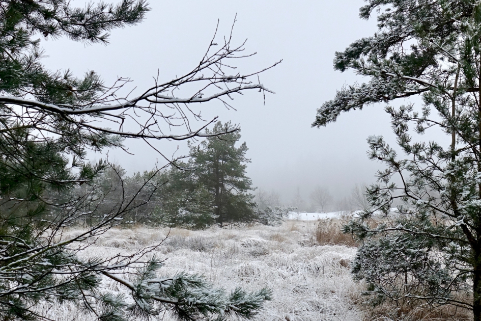 Frisse ochtendwandeling 2 - Weer en landschap - 