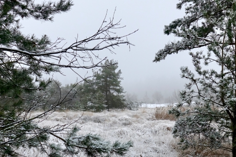 Frisse ochtendwandeling 2