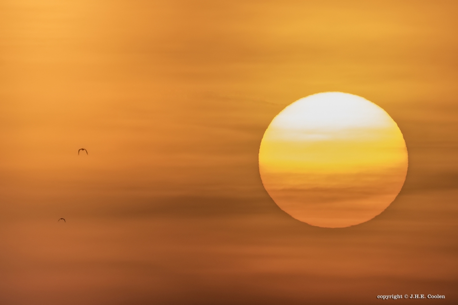 Hot item - Weer en landschap - 