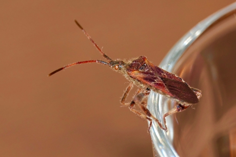 Landing op de glasrand