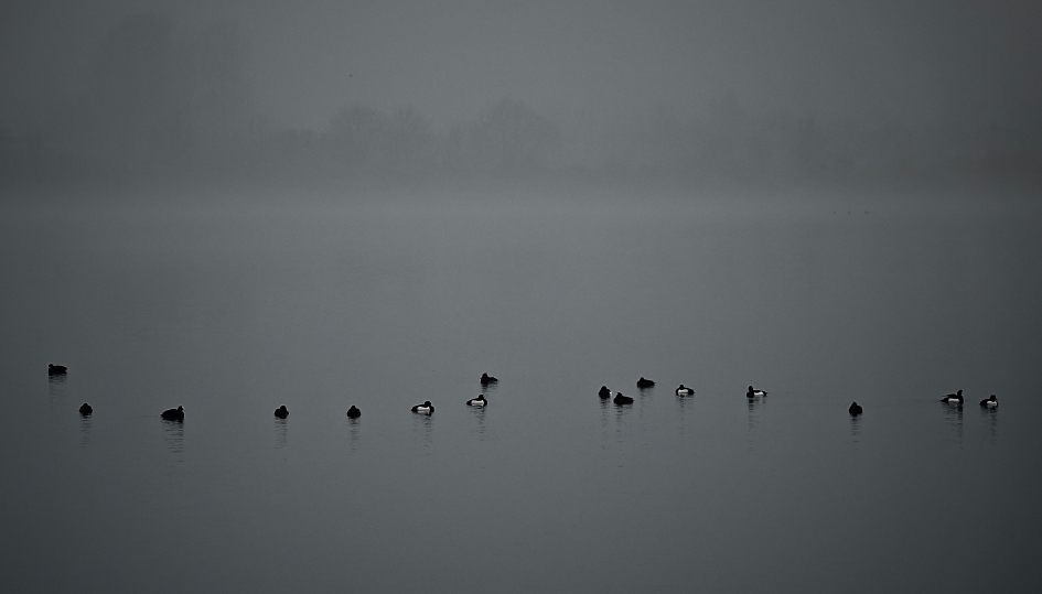 Misty - Weer en landschap - 