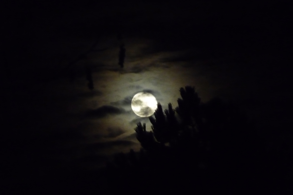 Ook vanavond nog een grote maan - Weer en landschap - 