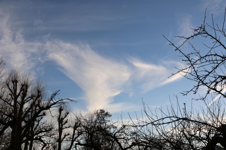 Prachtige lucht vanavond - Weer en landschap - 