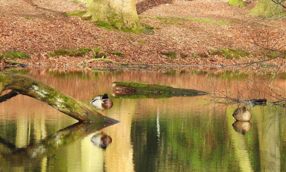 Stilte - Weer en landschap - 