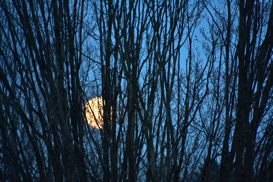 Supersneeuwmaan - Weer en landschap - 