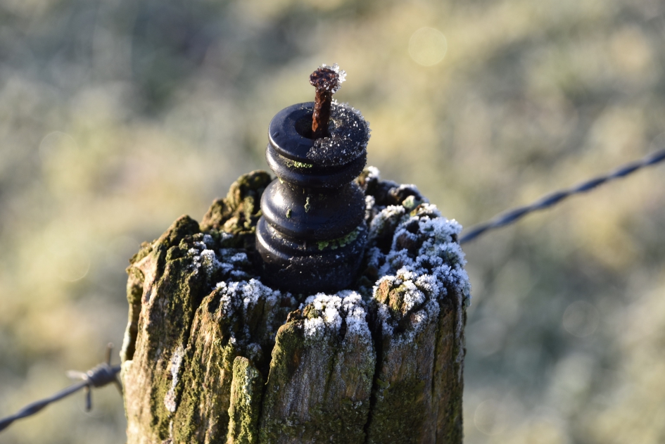 Berijpt - Weer en landschap - 