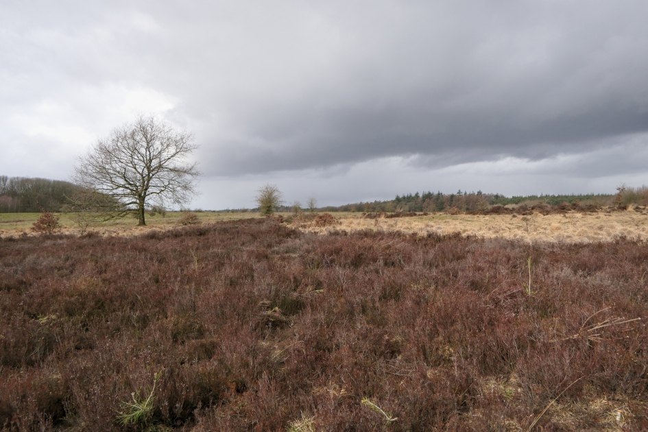 Buitje op komst. - Weer en landschap - Landschap