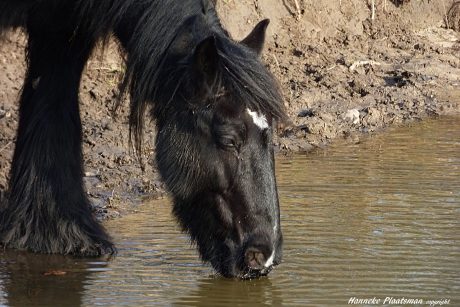 De natuur is leuk, maar je moet er wel wat te drinken bij hebben. 2