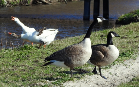 Hier horen wij niet bij hoor !!