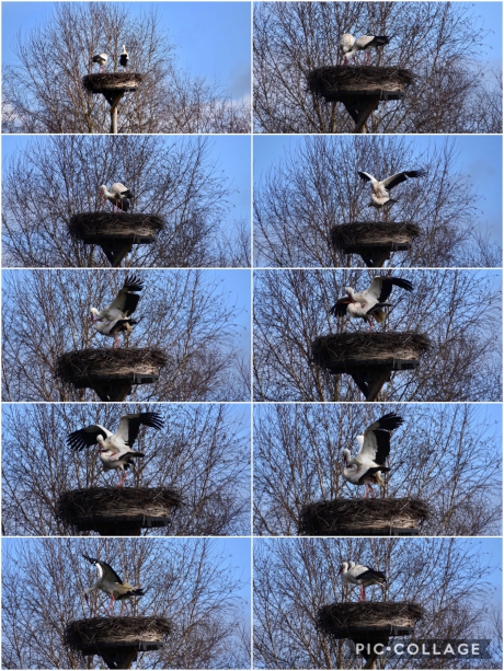 “Love is in the air”