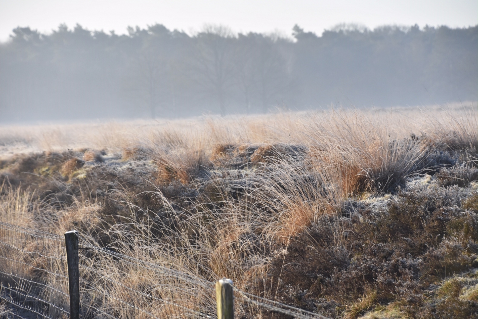 Meeuwenveen - Weer en landschap - 