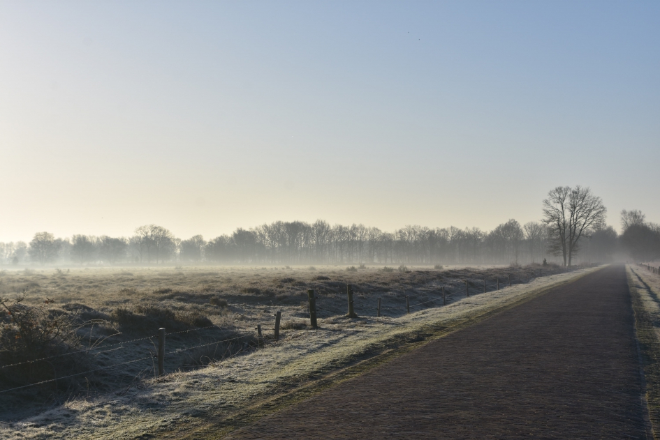 Nieuwe Dijk, Zuidwolde, Drenthe - Weer en landschap - 