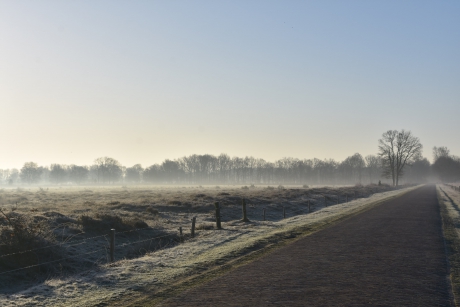 Nieuwe Dijk, Zuidwolde, Drenthe