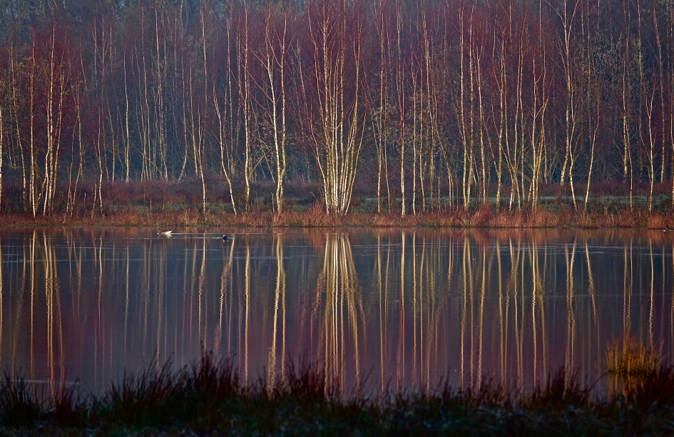 Ochtendspiegel - Weer en landschap - 