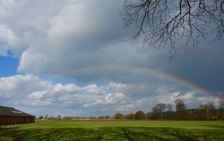 Regenboog